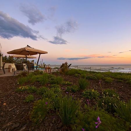 The Ocean View Guest House 윌더니스 외부 사진